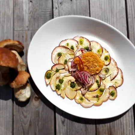 Szálloda Terminus 3*